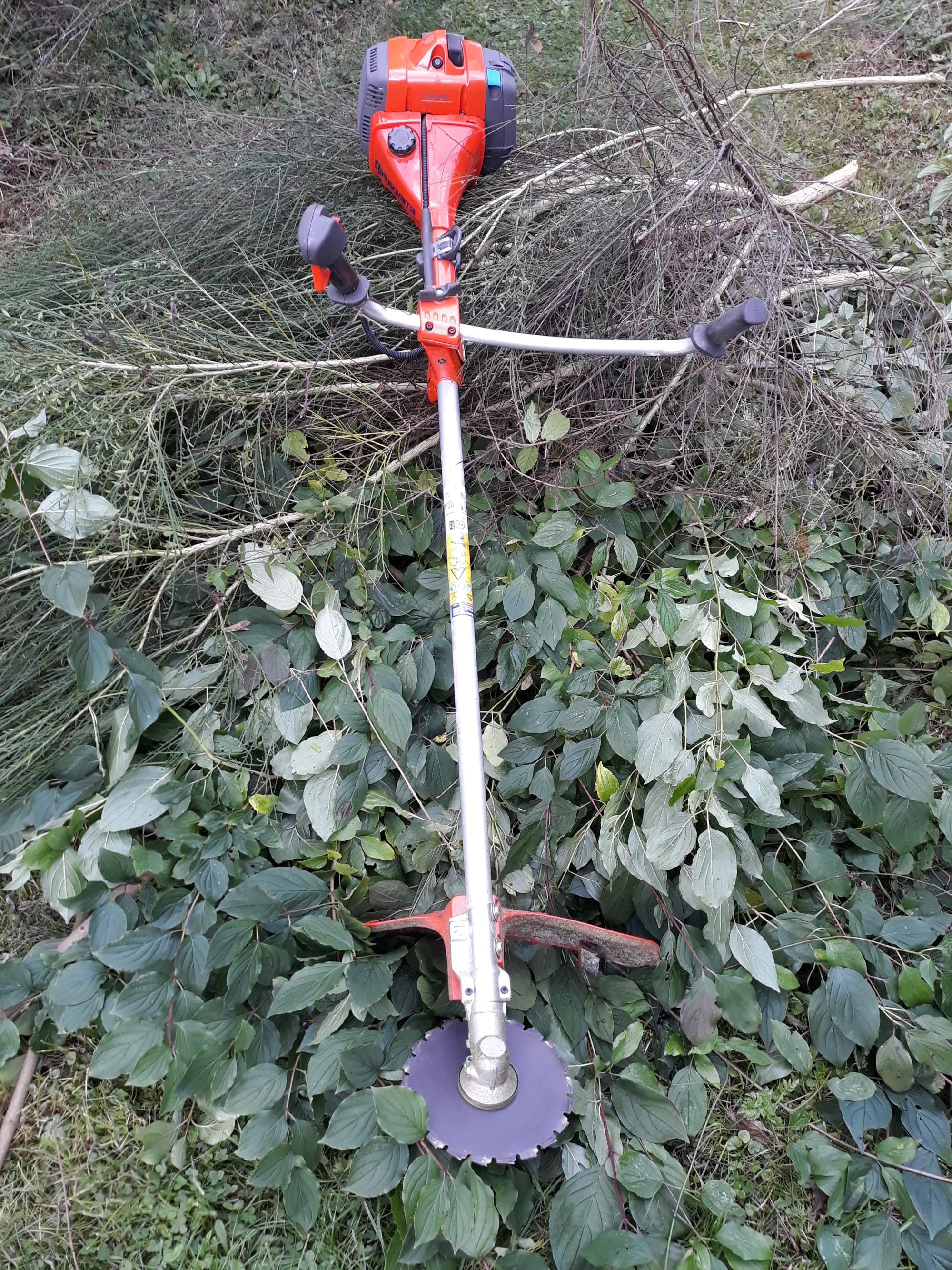 Bild vom Freischneiden von Grundstücken mit Zurückschneiden oder Entfernung von Büschen und Sträuchern